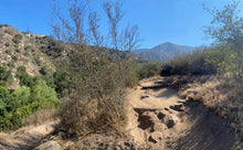 Load image into Gallery viewer, Monday Hike | El Pietro Canyon Loop | Meadows | 4 Miles Round Trip