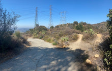 Load image into Gallery viewer, Monday Hike | El Pietro Canyon Loop | Meadows | 4 Miles Round Trip