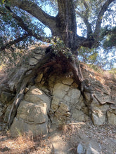 Load image into Gallery viewer, Friday Hike | Gould Mesa Paul Little Waterfall | 7.9 Miles