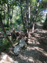 Load image into Gallery viewer, Friday Hike | Gould Mesa Paul Little Waterfall | 7.9 Miles