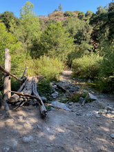 Load image into Gallery viewer, Friday Hike | Gould Mesa Paul Little Waterfall | 7.9 Miles