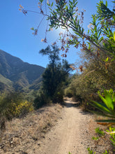 Load image into Gallery viewer, Wednesday Hike | Brown Mountain Meadows | 5.5 Miles