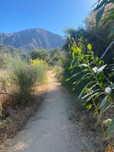 Load image into Gallery viewer, Wednesday Hike | Brown Mountain Meadows | 5.5 Miles