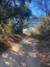 Load image into Gallery viewer, Wednesday Hike | Brown Mountain Meadows | 5.5 Miles