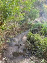 Load image into Gallery viewer, Wednesday Hike | Brown Mountain Meadows | 5.5 Miles