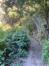 Load image into Gallery viewer, Wednesday Hike | Brown Mountain Meadows | 5.5 Miles