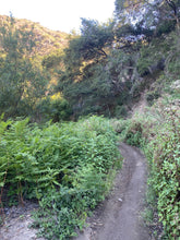 Load image into Gallery viewer, Wednesday Hike | Brown Mountain Meadows | 5.5 Miles