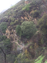 Load image into Gallery viewer, Monday Hike | El Pietro Canyon Loop | Meadows | 4 Miles Round Trip