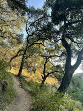 Load image into Gallery viewer, Wednesday Hike | Brown Mountain Meadows | 5.5 Miles