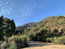 Load image into Gallery viewer, Wednesday Hike | Brown Mountain Meadows | 5.5 Miles